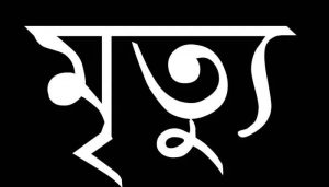 পেকুয়ায় পুকুরে ডুবে দেড় বছরের শিশুর মৃত্যু