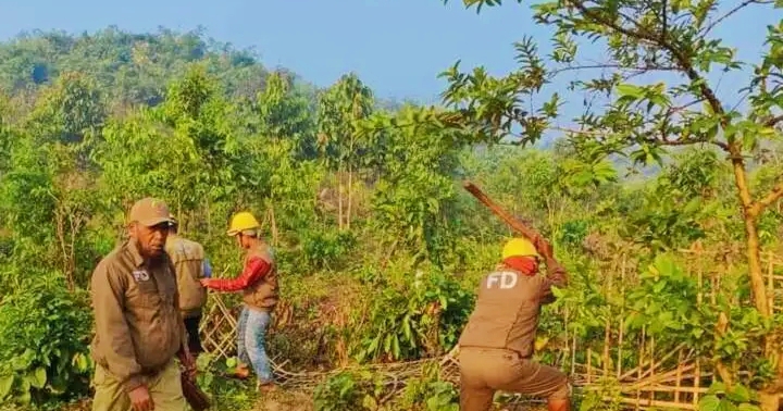 কক্সবাজারে ১০ একর বনভূমি দখলমুক্ত কক্সবাজারে ১০ একর বনভূমি দখলমুক্ত