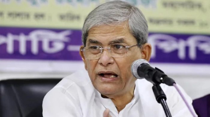 বিদেশিরা কেন বাংলাদেশে আসে, জানালেন ফখরুল