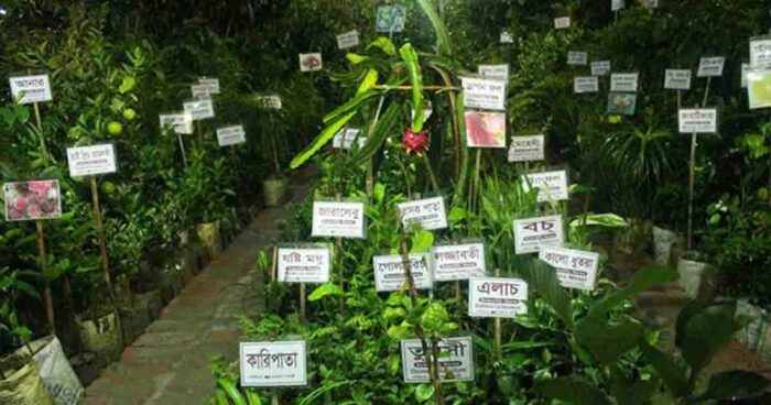 জাতীয় বৃক্ষমেলা শুরু আজ