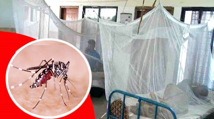 ডেঙ্গুতে আরো ১ জনের মৃত্যু, আক্রান্ত ৫১