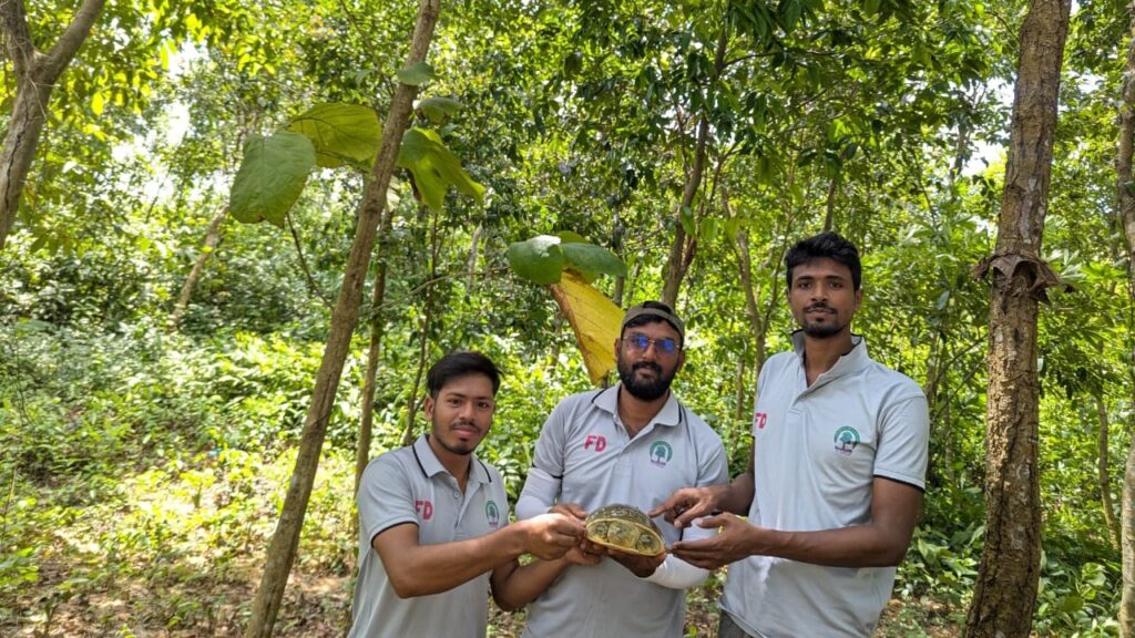 উখিয়ায় উদ্ধারকৃত পাহাড়ি কচ্ছপ প্রাকৃতিক পরিবেশে অবমুক্ত উখিয়ায় উদ্ধারকৃত পাহাড়ি কচ্ছপ প্রাকৃতিক পরিবেশে অবমুক্ত