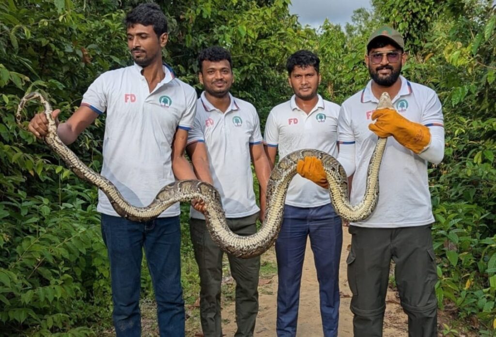 উখিয়ায় লোকালয় থেকে বার্মিজ অজগর উদ্ধার উখিয়ায় লোকালয় থেকে বার্মিজ অজগর উদ্ধার