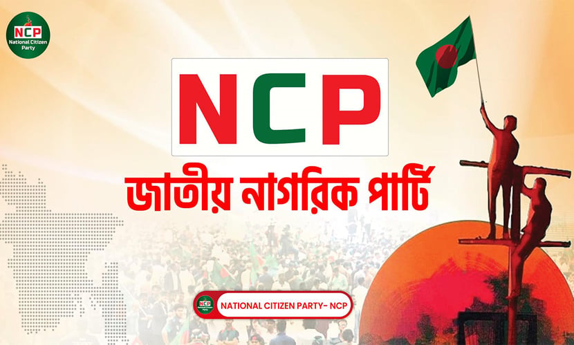 জাতীয় নাগরিক পার্টির আন্তর্জাতিক সেল গঠন জাতীয় নাগরিক পার্টির আন্তর্জাতিক সেল গঠন