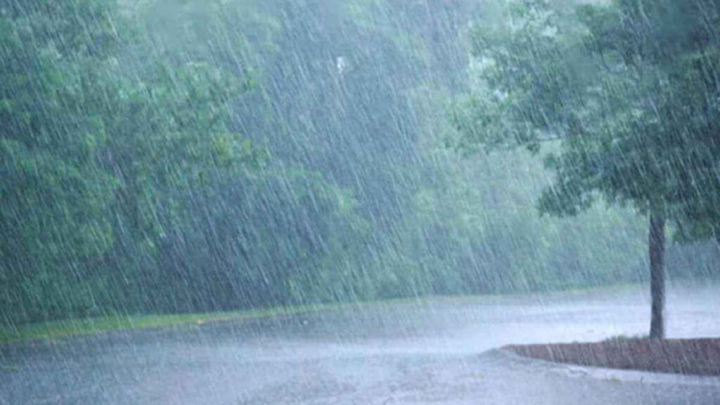 ২৪ ঘণ্টার মধ্যে দেশের চার বিভাগে ভারী বৃষ্টি হতে পারে ২৪ ঘণ্টার মধ্যে দেশের চার বিভাগে ভারী বৃষ্টি হতে পারে