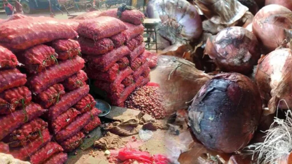ভারতীয় সীমান্তে পচছে ৩০ হাজার টন পেঁয়াজ, ২ রুপি কেজিতে বিক্রি করতে বাধ্য ব্যবসায়ীরা
