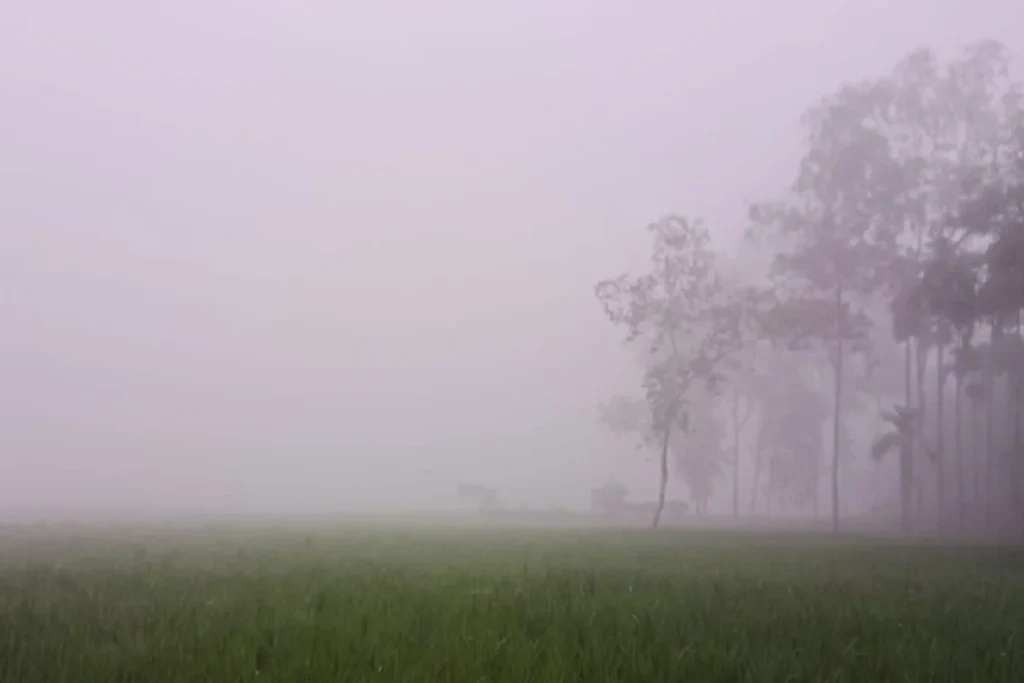 তীব্র শীতে স্থবির জনজীবন, পঞ্চগড়ে সর্বনিম্ন তাপমাত্রা রেকর্ড ১১ ডিগ্রি