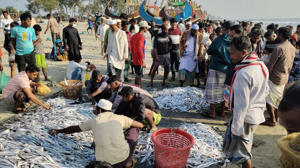 টেকনাফ উপকূলে জেলেদের জালে ১০৬ মণ মাছ