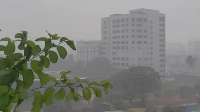 কুয়াশার সকাল, দুপুরের দিকে ঢাকায় তাপমাত্রা একটু বাড়ার আভাস কুয়াশার সকাল, দুপুরের দিকে ঢাকায় তাপমাত্রা একটু বাড়ার আভাস