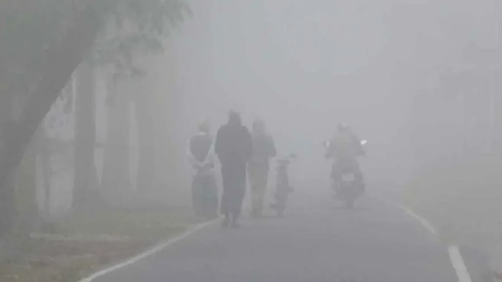 দেশজুড়ে শীত ও ঘন কুয়াশা, কয়েকদিন ব্যাহত হতে পারে সড়ক-নৌ-আকাশপথ