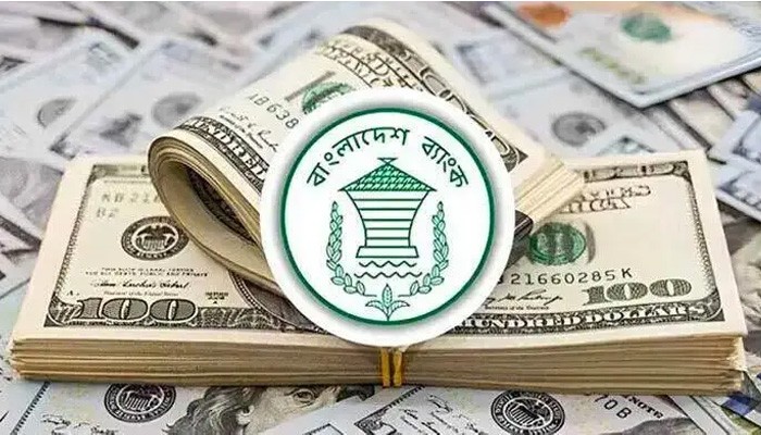 দেশের ১৪টি ব্যাংক থেকে ২২ কোটি ৩৫ লাখ ডলার কিনলো বাংলাদেশ ব্যাংক দেশের ১৪টি ব্যাংক থেকে ২২ কোটি ৩৫ লাখ ডলার কিনলো বাংলাদেশ ব্যাংক