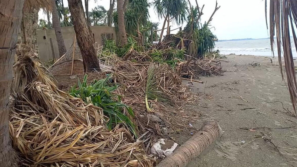 সেন্টমার্টিনে কেয়াবন উজাড় করে রিসোর্ট নির্মাণ, পরিবেশ অধিদপ্তরের মামলা সেন্টমার্টিনে কেয়াবন উজাড় করে রিসোর্ট নির্মাণ, পরিবেশ অধিদপ্তরের মামলা