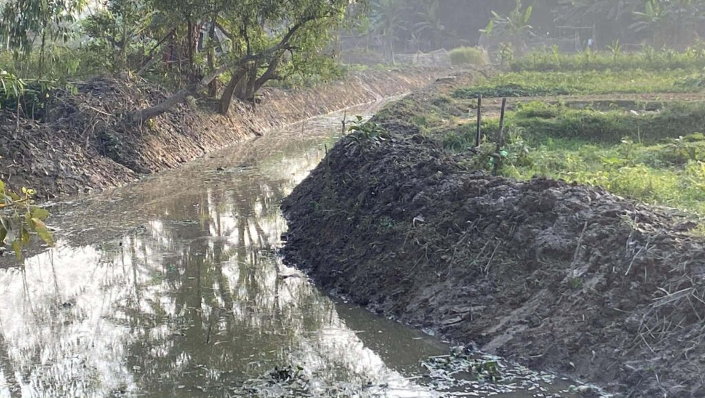 পেকুয়ায় খাল খননের নামে আগাছা পরিস্কার!