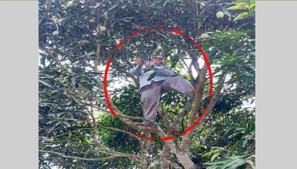 অনলাইনে হাজিরা দিতে গাছের মগডালে রাঙ্গামাটির প্রধান শিক্ষক অনলাইনে হাজিরা দিতে গাছের মগডালে রাঙ্গামাটির প্রধান শিক্ষক