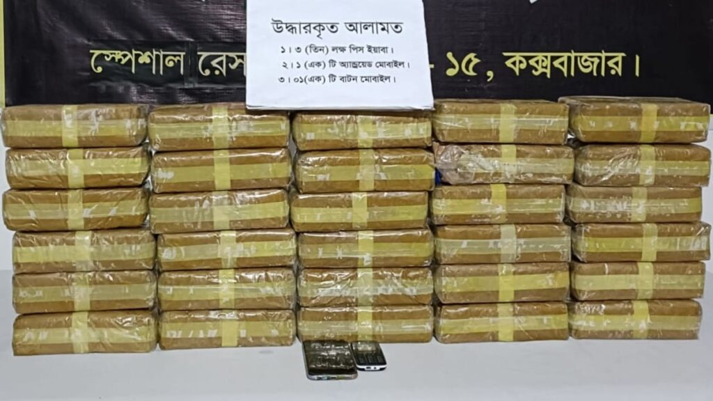 রামুতে ৩ লাখ পিস ইয়াবাসহ নারী কারবারি গ্রেফতার, পলাতক দুই ছেলে রামুতে ৩ লাখ পিস ইয়াবাসহ নারী কারবারি গ্রেফতার, পলাতক দুই ছেলে