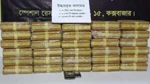 রামুতে ৩ লাখ পিস ইয়াবাসহ নারী কারবারি গ্রেফতার, পলাতক দুই ছেলে