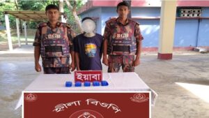 টেকনাফে বেড়িবাঁধে বিজিবি’র অভিযানে ১০ হাজার পিস ইয়াবাসহ পাচারকারী আটক