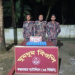 সীমান্তে বিজিবির পৃথক অভিযানে পরিত্যক্ত অবস্থায় ৭০ হাজার বার্মিজ ইয়াবা জব্দ