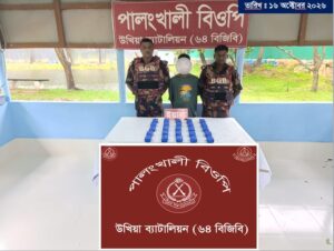 উখিয়ার সীমান্তে বিজিবির অভিযানে ৫০ হাজার পিস ইয়াবা এক রোহিঙ্গা গ্রেপ্তার